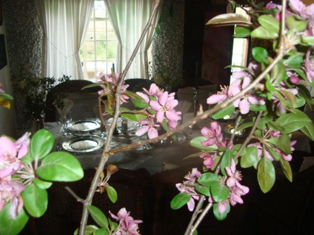 44 On Ennis Guest Lodge And Restaurant - No Load Sheddding Ermelo Buitenkant foto