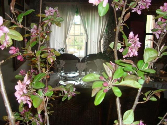 44 On Ennis Guest Lodge And Restaurant - No Load Sheddding Ermelo Buitenkant foto