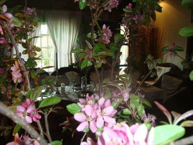 44 On Ennis Guest Lodge And Restaurant - No Load Sheddding Ermelo Buitenkant foto